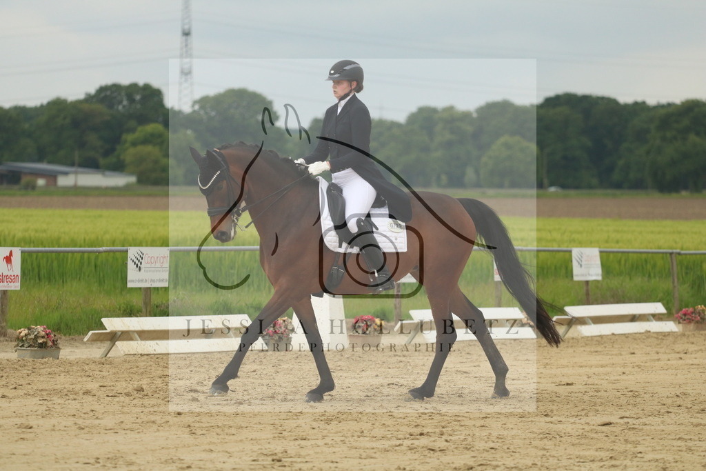 IMG_8106 | jessicahollubetz_pferdephotographie - Realisiert mit Pictrs.com