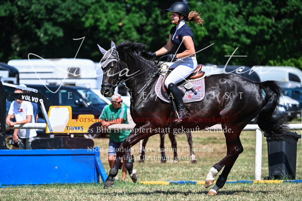 DSC_1041 | Pferde- und Turnierfotografie in Westsachsen. Pferdeportraits, Auftragszeichnungen und intuitive Kunst.