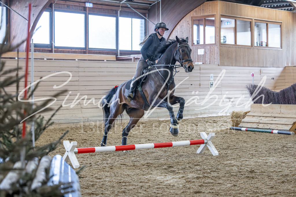 20260221-_3LI0369 | Tierfotografie Pferde, Hunde, Katzen, Haustiere.
Turnierfotografie Reitturniere, Reiten, Springreiten, Dressur in Hanau, dem Main-Kinzig-Kreis und dem Rhein-Main- Gebiet um Frankfurt