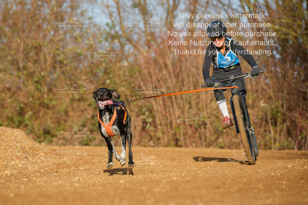 So_DVGBSP2025_Scooter (23 von 286) | stephaniefillaphotographie - Realisiert mit Pictrs.com