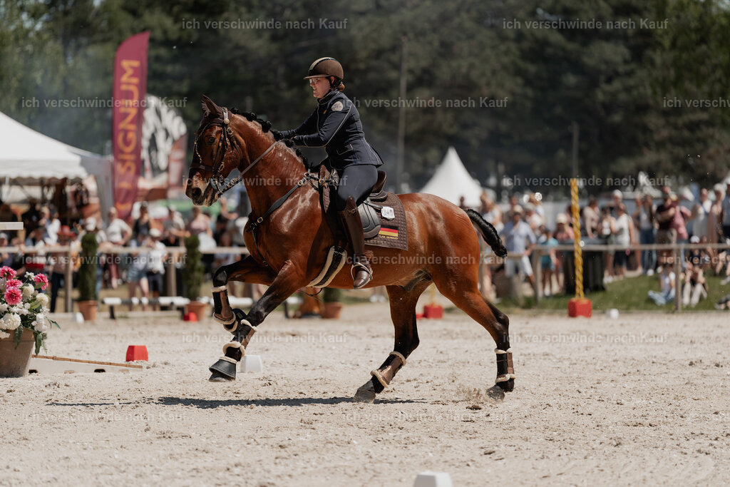 WE_SP_Stoib_340_PI2025_1953 | Pferd International München 2025