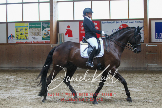 DKP44816 | Turniersportfotografie; Pferdefotografie; Dressurfotografie