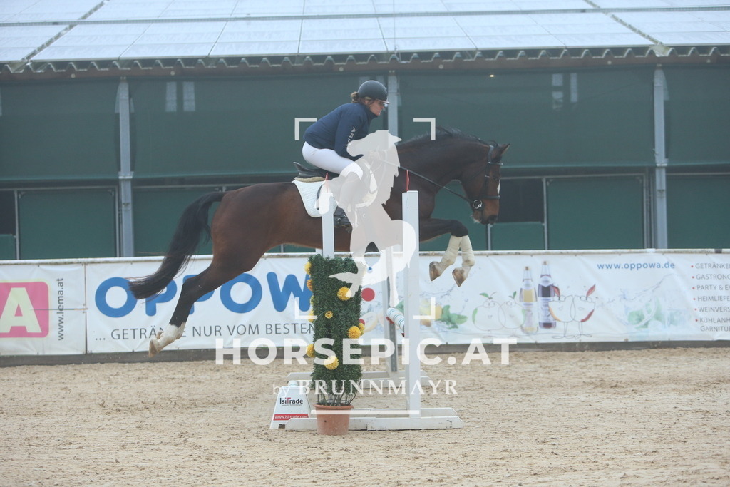 DL2Q8233 | Willkommen bei Brunnmayr - Design & Fotografie – Ihrem Spezialisten für Reitturniere und Pferdeveranstaltungen in Oberösterreich, Salzburg und Bayern! Seit über 17 Jahren sind wir leidenschaftlich dabei.