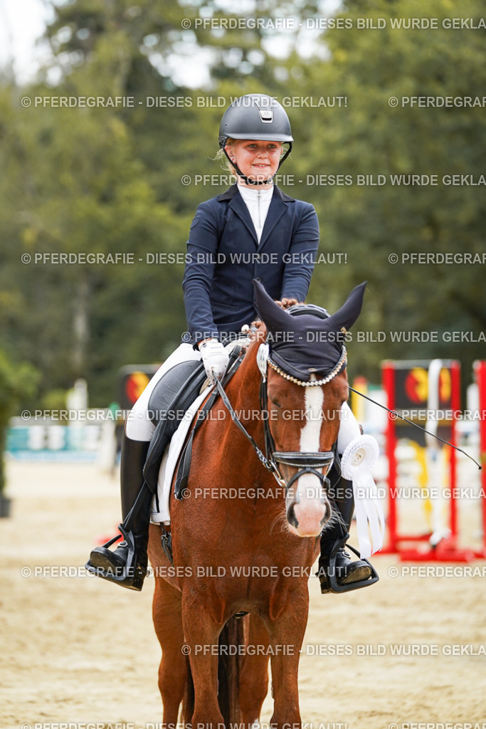 DSC06237 | Pferdegrafie