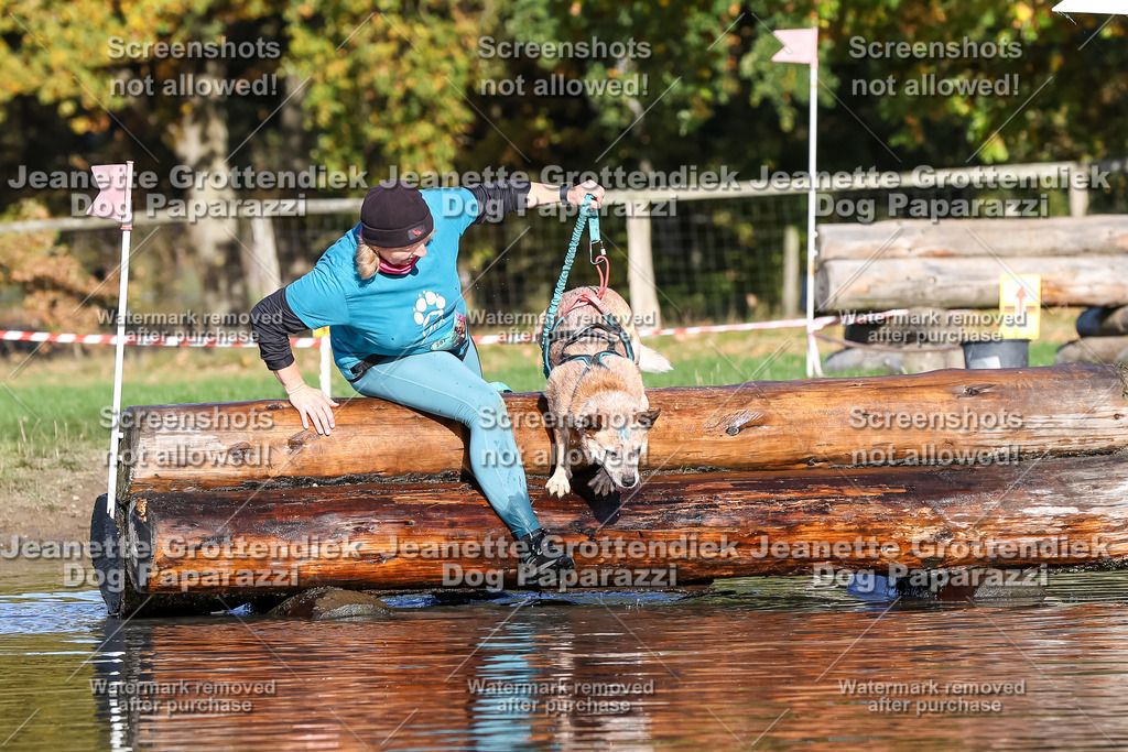 Dog Paparazzi - Strongdog 10-25-8728 | Dog Paparazzi Jeanette Grottendiek Fotografie & Videografie - Realisiert mit Pictrs.com