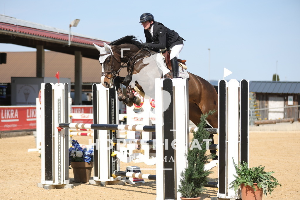 0P6A1291 | Willkommen bei Brunnmayr - Design & Fotografie – Ihrem Spezialisten für Reitturniere und Pferdeveranstaltungen in Oberösterreich, Salzburg und Bayern! Seit über 17 Jahren sind wir leidenschaftlich dabei.