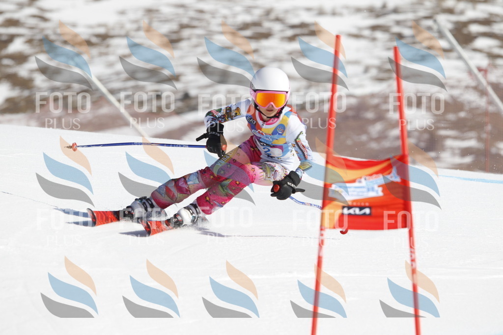 _U3G8505 | holidayphoto