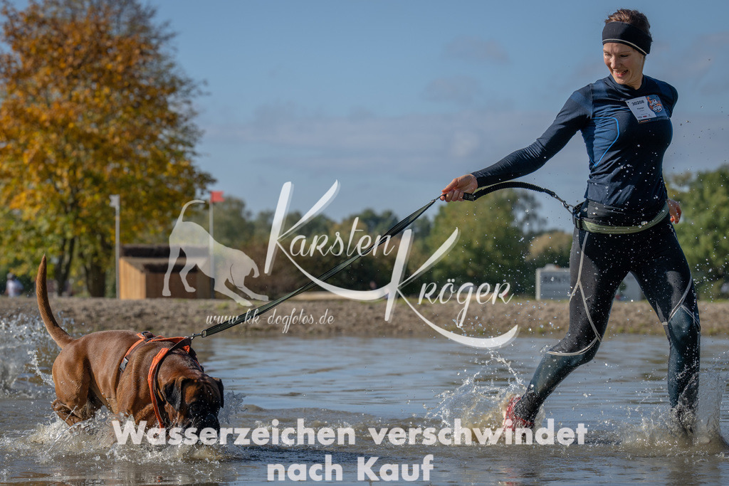 1311_ZZ90125 | kk-dogfotos