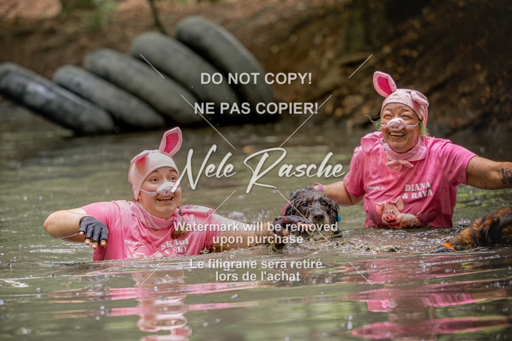 nelerasche_SaWingst1530-1600_221 | nelerasche