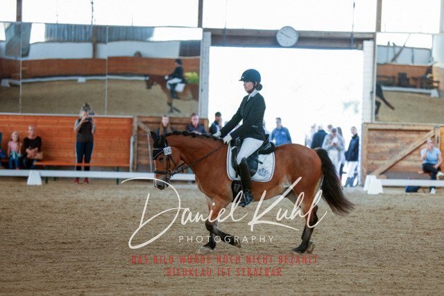 _62_7536 | Turniersportfotografie; Pferdefotografie; Dressurfotografie