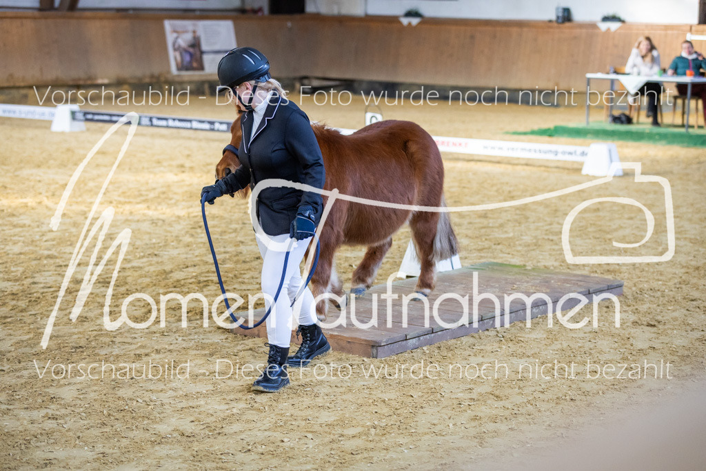 Sth-WBO25-Führ-WB-061 | MomenTaufnahmen Pferdesportfotos