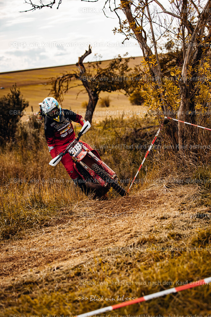 E68A3109 | blick_win_kel