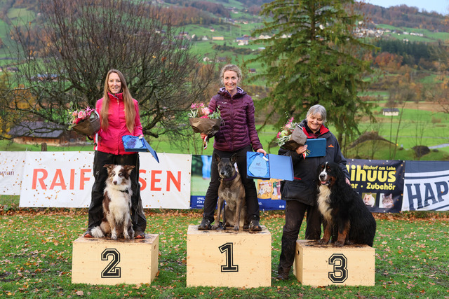 2025_Rally_Obedience_SM-286 | Ich fotografiere Hundeausstellungen, Sportanlässe, Zuchtstätten, Hundezucht, Hundeportrait, Lagotto - Realisiert mit Pictrs.com