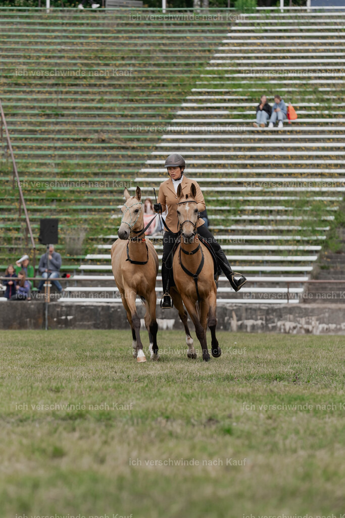 Showprogramm-316 | working equitationturnier fotograf videograf stoibphotography marixx film working equitation deutschland reitsport turnierfotografie eventfotografie equestrian events
