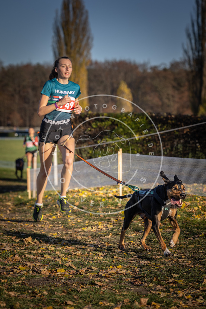 CaniXpix_DV3A2388 | Hundefotografie, Tierfotograf, Pfotenfotografie, Fotoshooting Hund, Hunde Portrait, Hundesport, Hundeportraits, Heideshooting, Hunde, Sportfotograf, Hundefotograf, Turnierhundsport, THS,  - Realisiert mit Pictrs.com