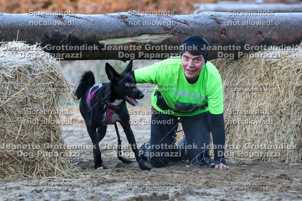 Dog Paparazzi - Strongdog 10-25-378 | Dog Paparazzi Jeanette Grottendiek Fotografie & Videografie - Realisiert mit Pictrs.com
