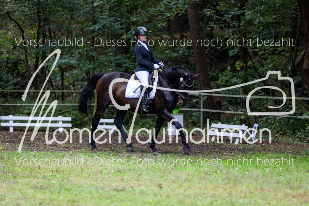 HB-A-Dressur-113 | MomenTaufnahmen Pferdesportfotos