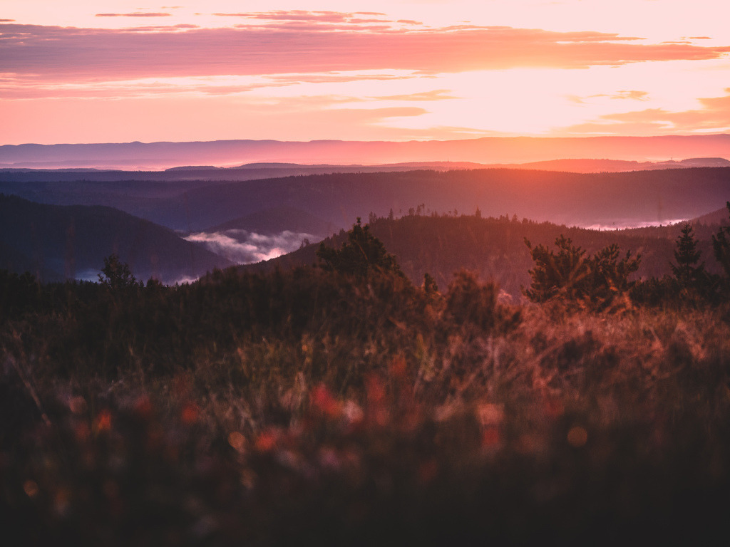 Morgenrot am Schliffkopf | Herbstmorgen mit glühendem Himmel am Schliffkopf im Nationalpark Schwarzwald - Realisiert mit Pictrs.com
