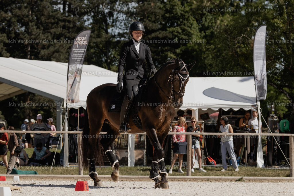 WE_SP_Stoib_309_PI2025_1471 | Pferd International München 2025