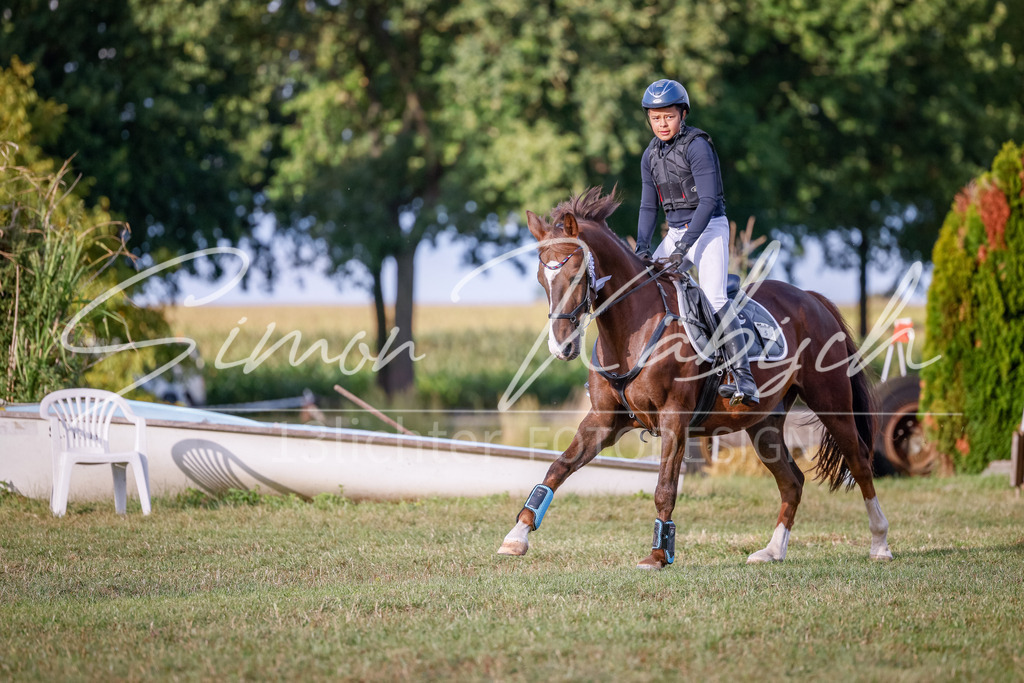 20250905-_3LI2498 | Tierfotografie Pferde, Hunde, Katzen, Haustiere.
Turnierfotografie Reitturniere, Reiten, Springreiten, Dressur in Hanau, dem Main-Kinzig-Kreis und dem Rhein-Main- Gebiet um Frankfurt