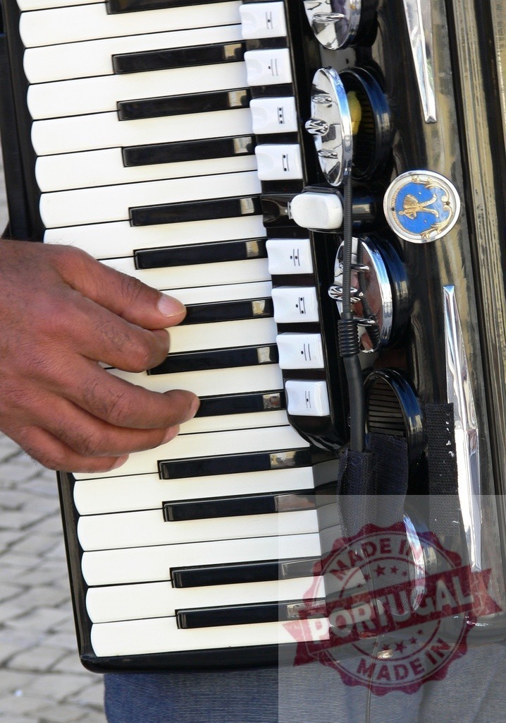 Street musician playing accordion in the street | Street musician playing a black and white accordion in the street - Realized with Pictrs.com