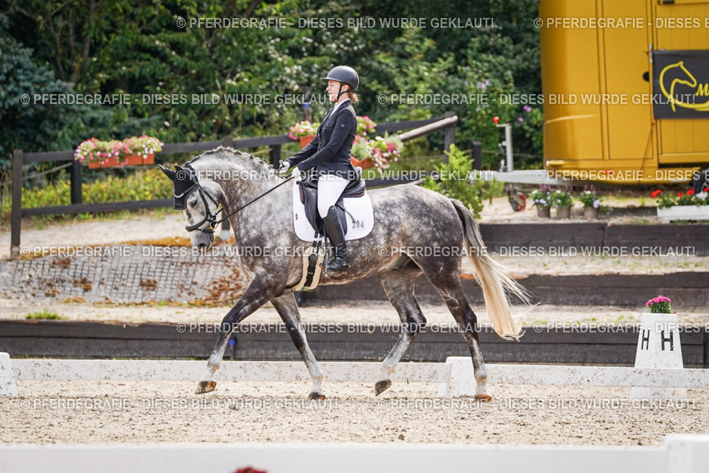 DSC08025 | Pferdegrafie