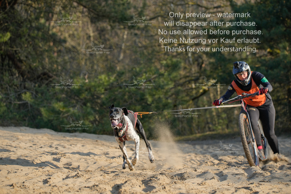 So_Scooter-4 | stephaniefillaphotographie - Realisiert mit Pictrs.com