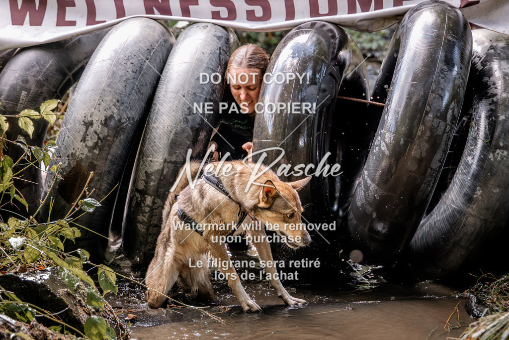 nelerasche_Hunsrück2026_Sa1400-1500_266 | nelerasche
