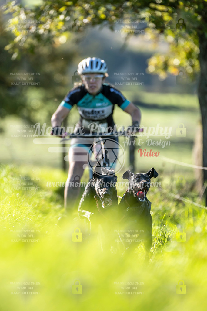 MompixPhotography_20TSB_E3_DS2-21 | PayLife
