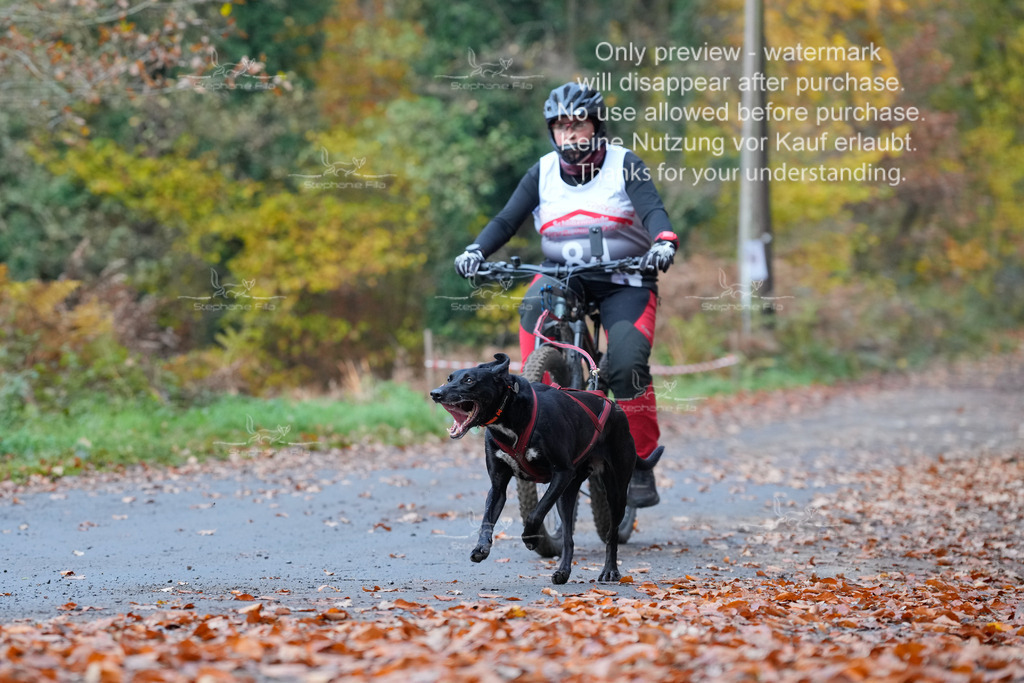 Bike_So-156 | stephaniefillaphotographie - Realisiert mit Pictrs.com
