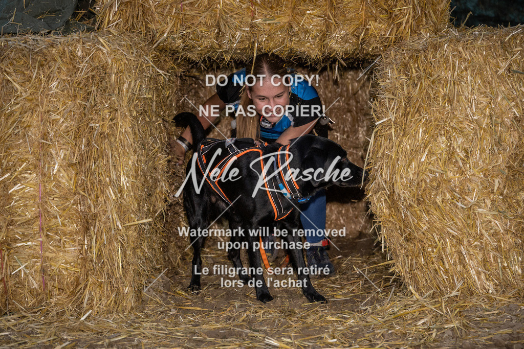 nelerasche_FrNacht_183 | nelerasche