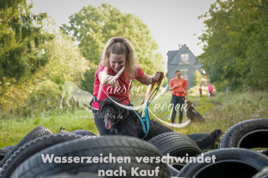 1029_ZZ94486-Bearbeitet | kk-dogfotos