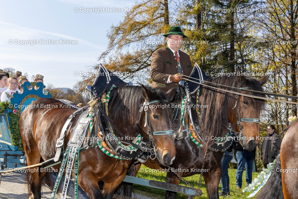 LBT24-1404 | foto-bettina-krinner - Realisiert mit Pictrs.com