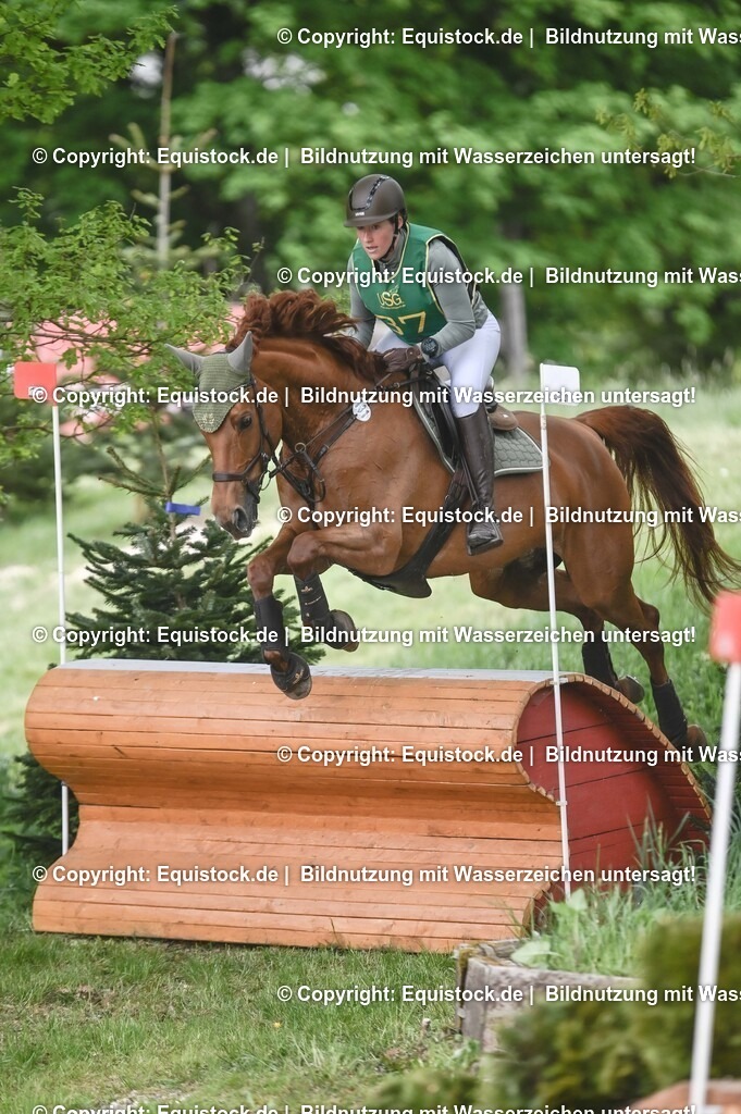 20250517_CCI1_Gelände_0427 | Foto: Thomas Hartig