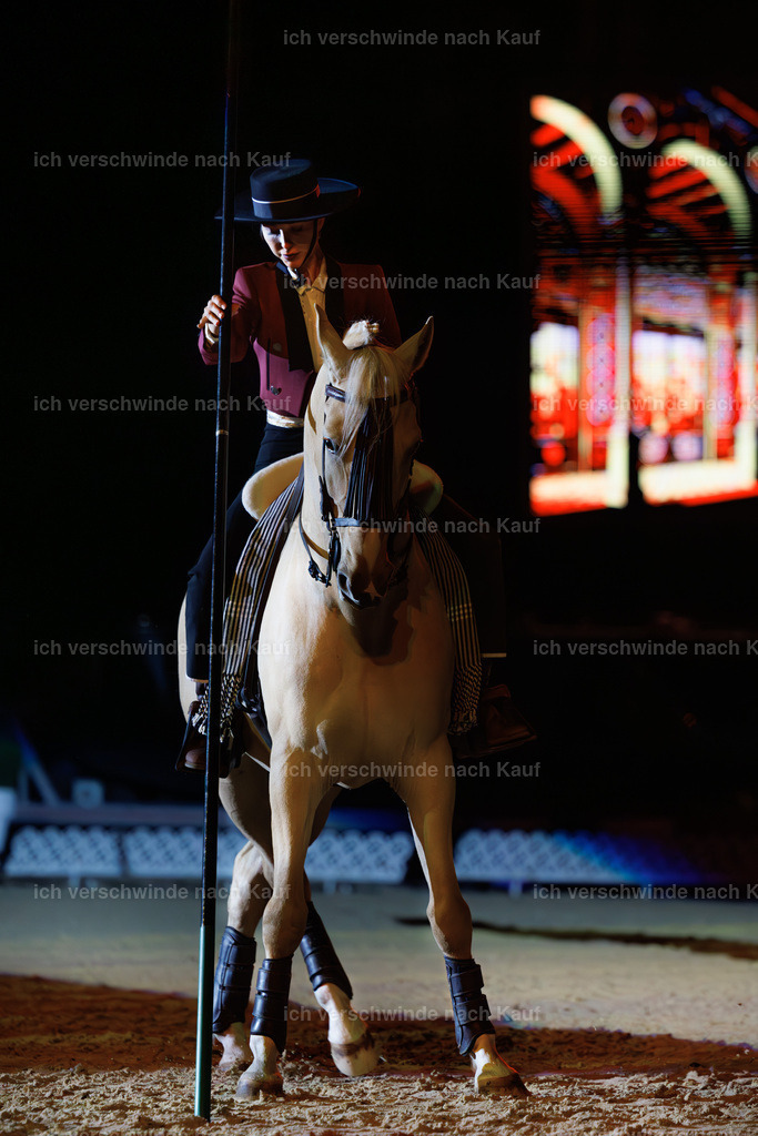 FHClassics-171 | working equitationturnier fotograf videograf stoibphotography marixx film working equitation deutschland reitsport turnierfotografie eventfotografie equestrian events