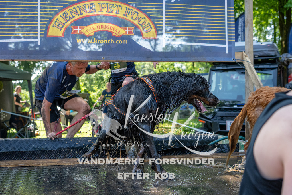 1357_ZZ92821 | kk-dogfotos