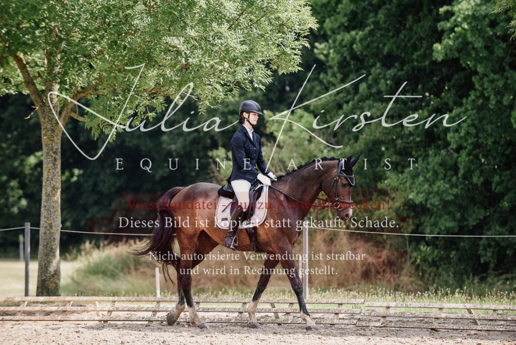 DSC_0828 | Pferde- und Turnierfotografie in Westsachsen. Pferdeportraits, Auftragszeichnungen und intuitive Kunst.