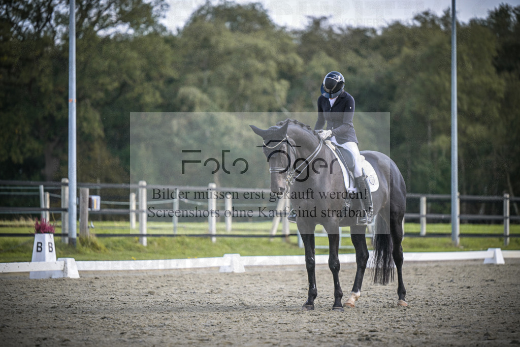DOS_0427 | Entdecke hochwertige Reitturnierfotos von Foto Oger. Professionell, emotional und authentisch – jetzt Lieblingsmomente im Shop bestellen.Deutschlandweite Turnierfotografie. - Realisiert mit Pictrs.com