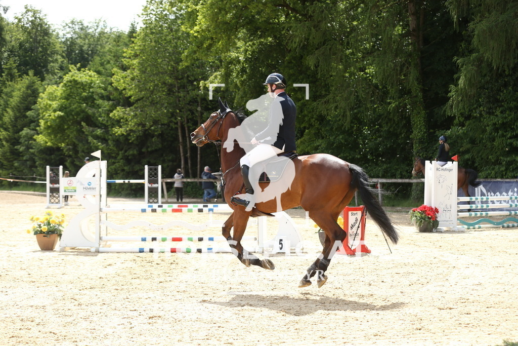 DL2Q5269 | Willkommen bei Brunnmayr - Design & Fotografie – Ihrem Spezialisten für Reitturniere und Pferdeveranstaltungen in Oberösterreich, Salzburg und Bayern! Seit über 17 Jahren sind wir leidenschaftlich dabei.