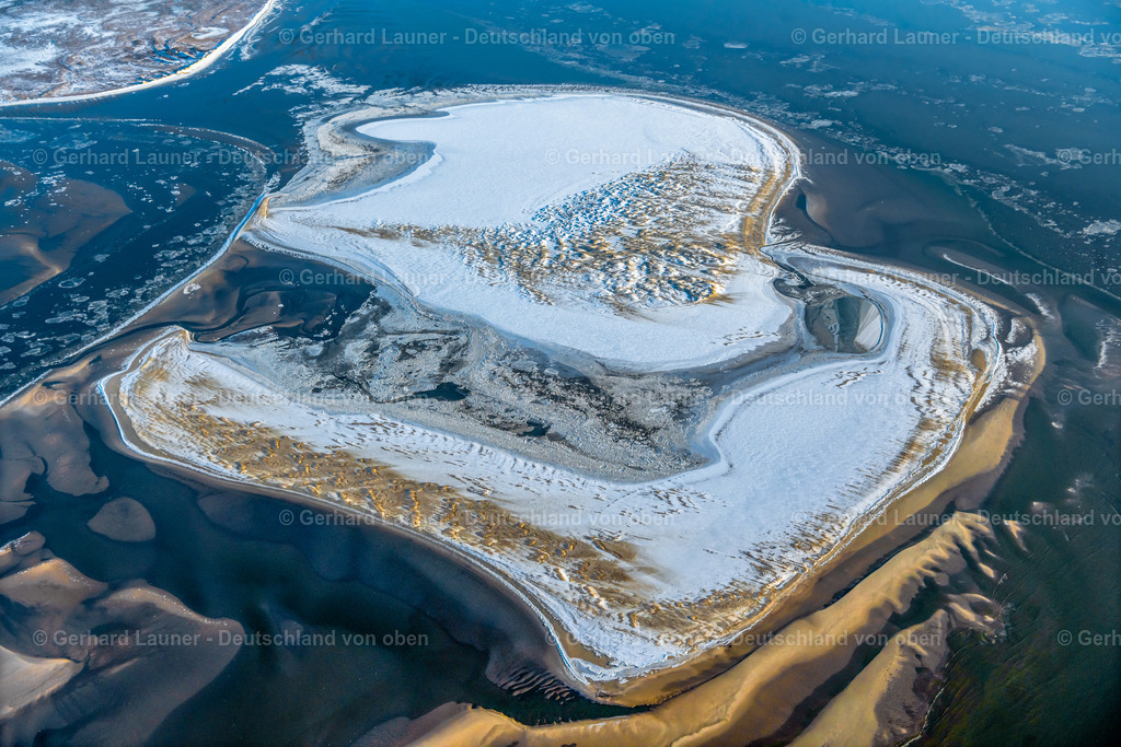 4044140 | Vogelschutzgebiet Memmert, Nationalpark Niedersächsisches Wattenmeer