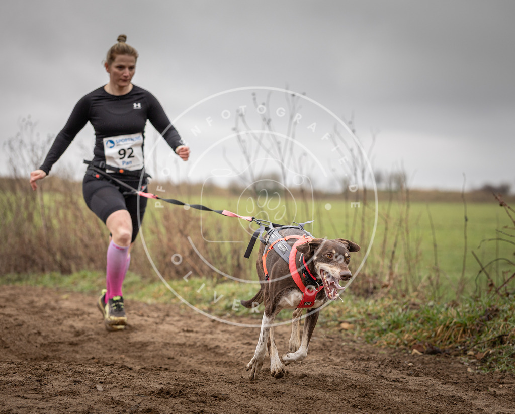 DV3A0026 | Hundefotografie, Tierfotograf, Pfotenfotografie, Fotoshooting Hund, Hunde Portrait, Hundesport, Hundeportraits, Heideshooting, Hunde, Sportfotograf, Hundefotograf, Turnierhundsport, THS,  - Realisiert mit Pictrs.com