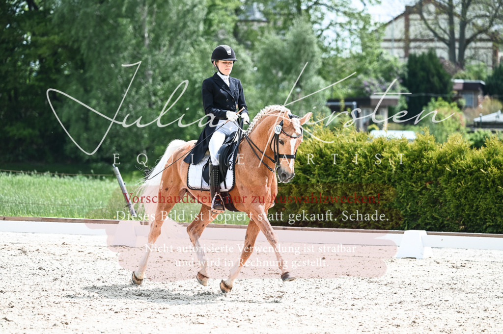 20230514_JK-Röhrsdorf-19-167 | Pferde- und Turnierfotografie in Westsachsen. Pferdeportraits, Auftragszeichnungen und intuitive Kunst.