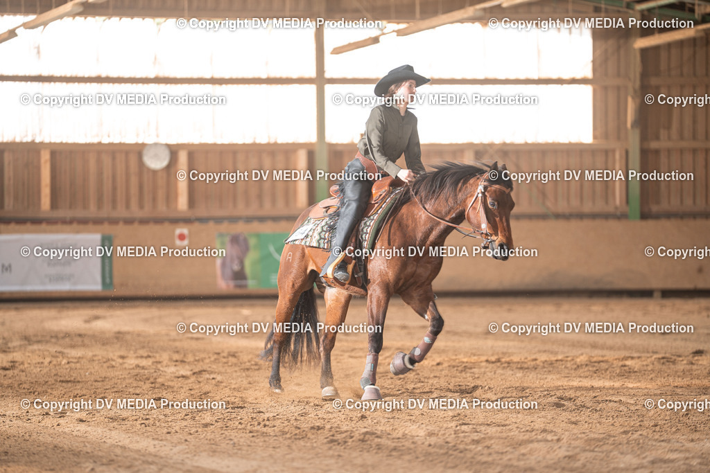 Balingen Tag 2-1536 | dv-media-shop - Realisiert mit Pictrs.com