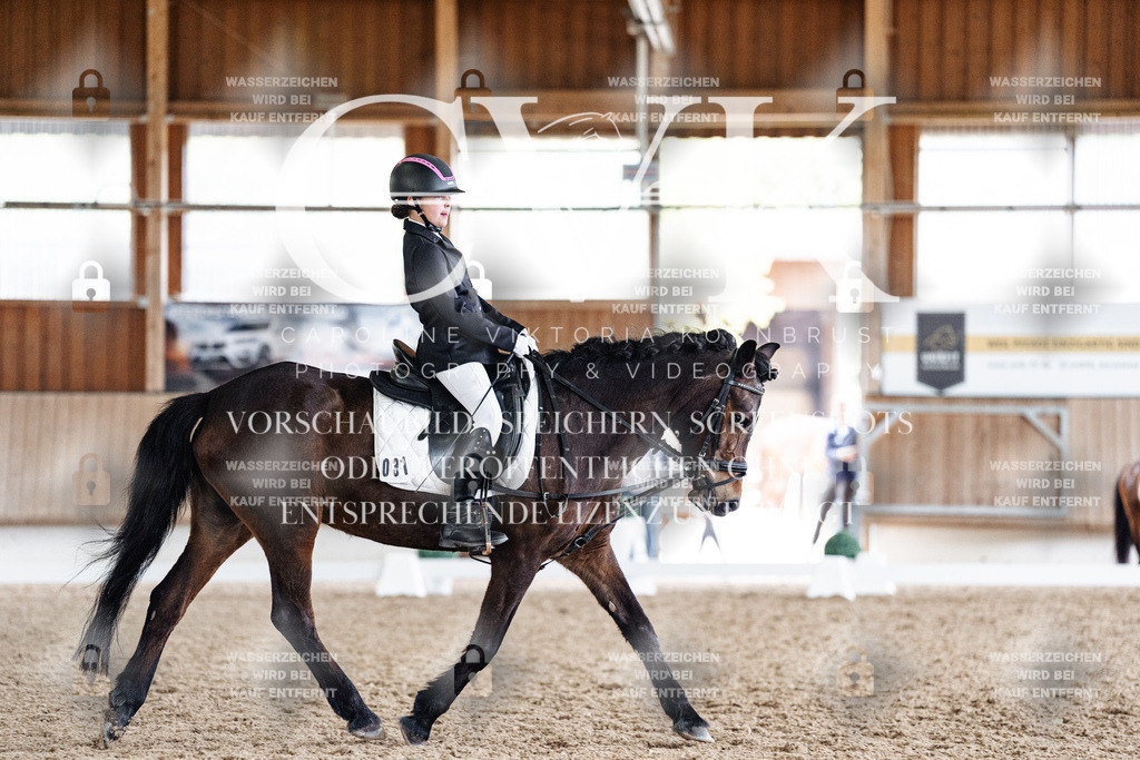 CK901283 | Turnierfotografie Pferdefotografie Trier Rheinland-Pfalz Pferdesport Reitsport Tierfotografie Sportfotografie Pferdevideo Pferdevideografie Equestrianvideography equestrianphotography  - Realisiert mit Pictrs.com