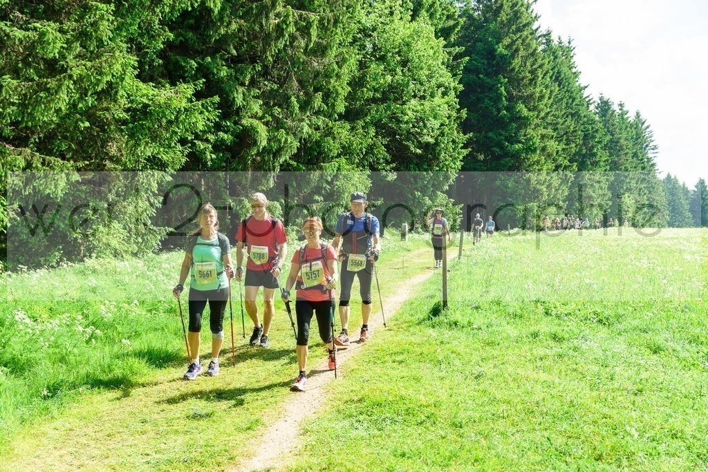 Rennsteiglauf 2018 | Neuhaus/Rwg. - Schmiedefeld am 26. Mai 2018