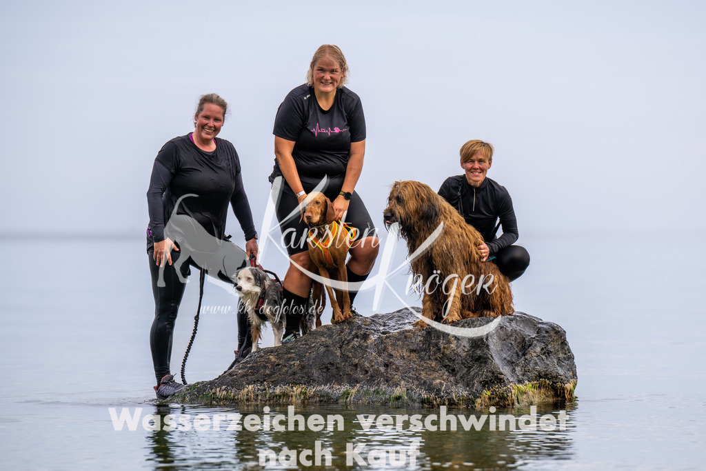 1227_ZZ91742 | kk-dogfotos