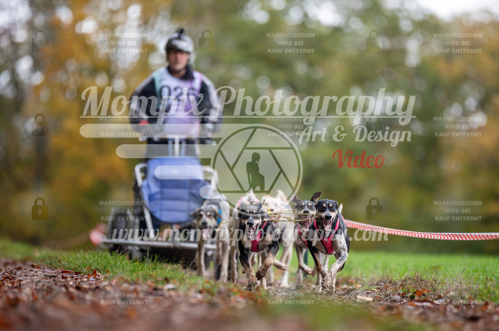 DBT_DAKM_SA_4_11_2023_Kart-3 | PayLife