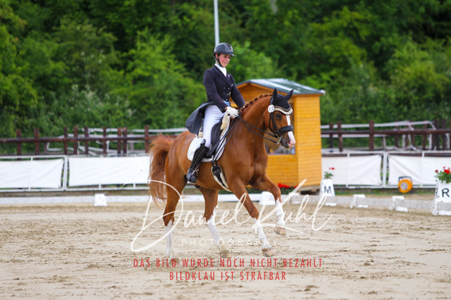 DKP47928 | Turniersportfotografie; Pferdefotografie; Dressurfotografie