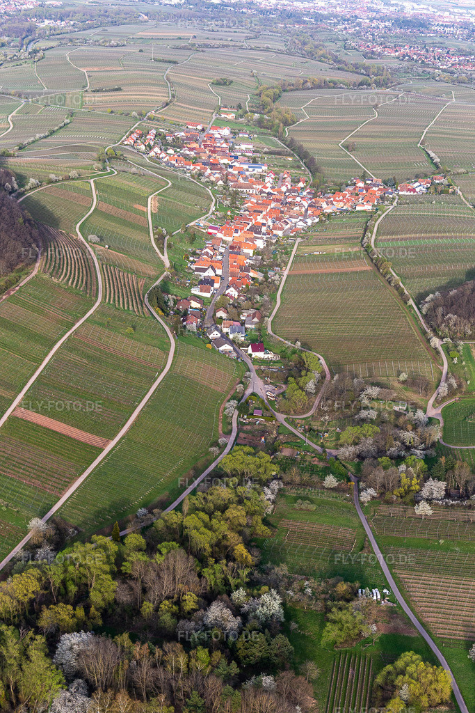 Luftbild:  in Ranschbach im Bundesland Rheinland-Pfalz in Deutschland. – Foto: IMG_131152.jpg vom 12.04.2022 durch Werner Riehm/FLY-FOTO.de – Auflösung des Originals: 3648 x 5472 px – WWW.RANSCHBACH.DE