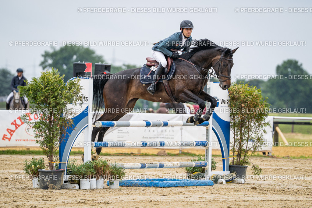 DSC02663 | Pferdegrafie